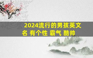 2024流行的男孩英文名 有个性 霸气 酷帅